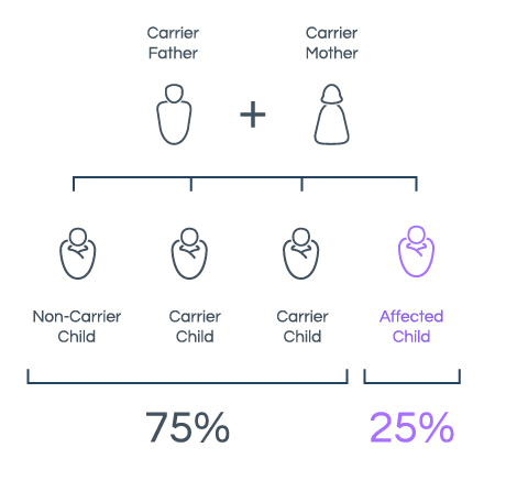 Carrier Screening