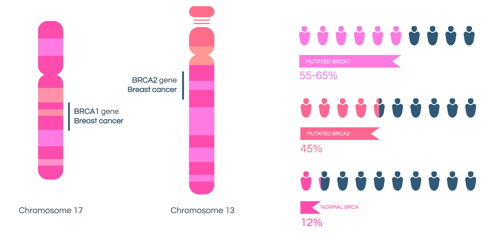 BRCA 1/2 Gene test