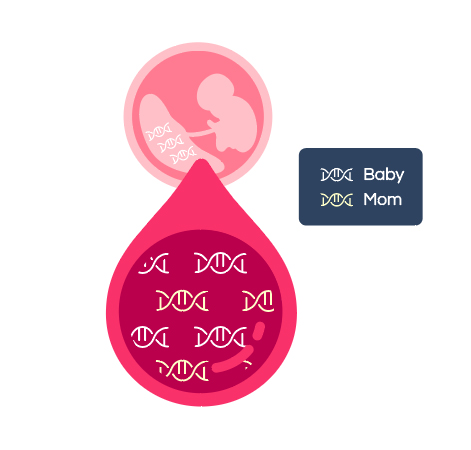 Prenatal Genome