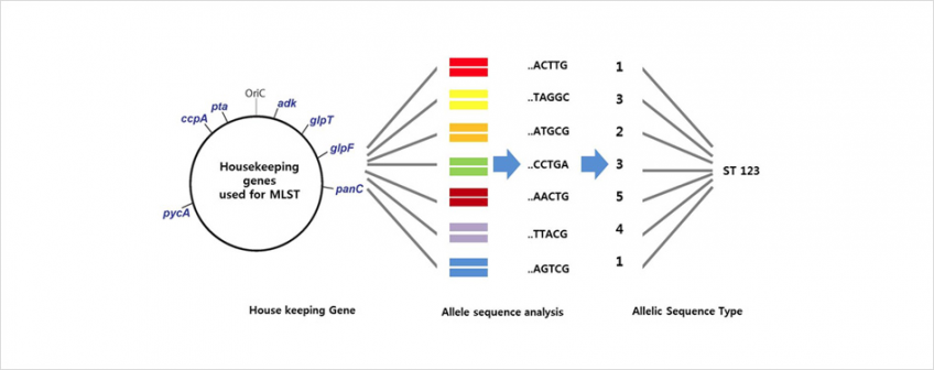 CES – Macrogen