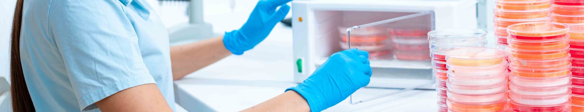 Gene,Expression,Profiling:,Petri,Dishes,Can,Be,Used,For,Gene